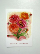 花毛茛