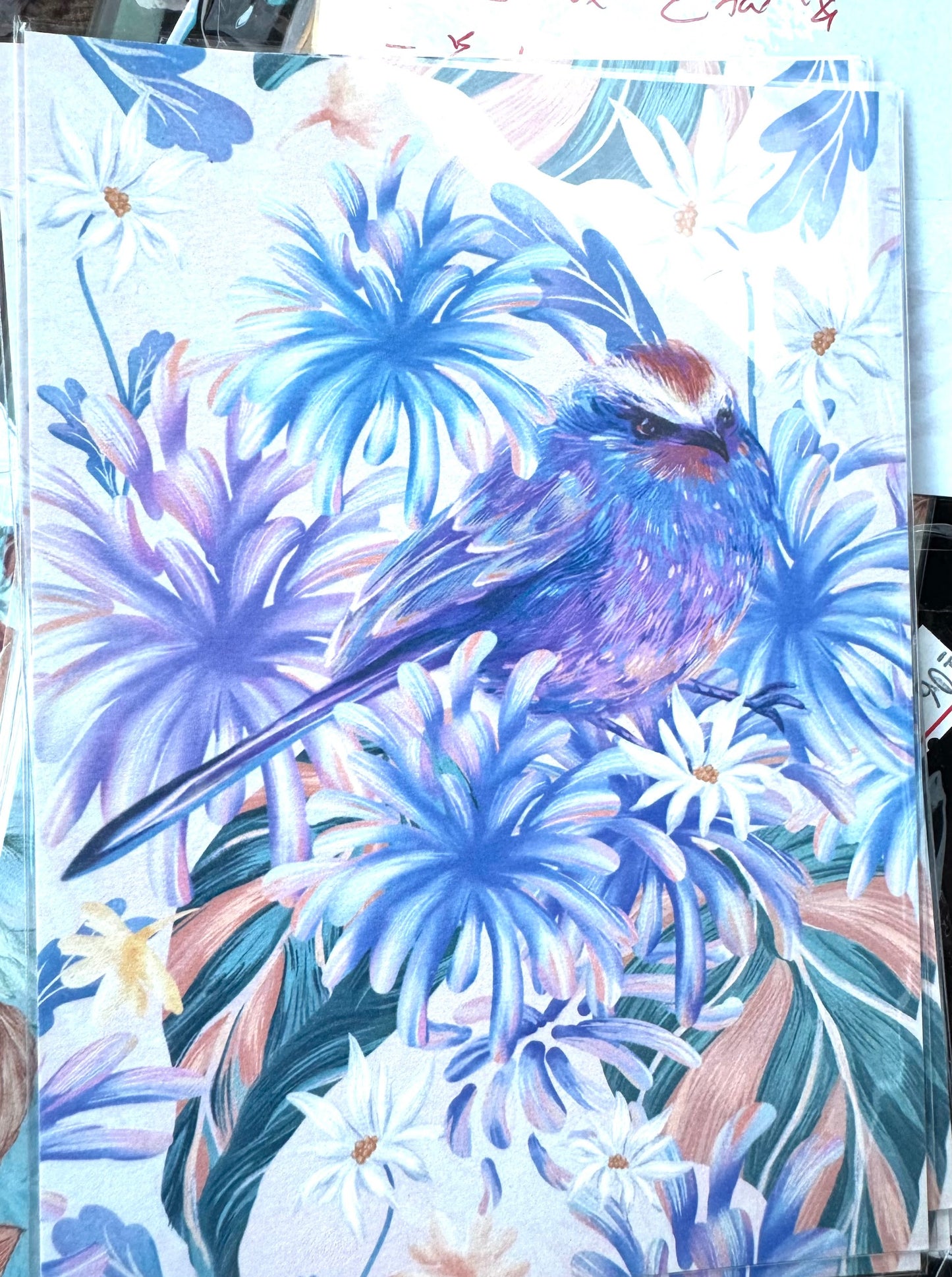 Postcard / 明信片