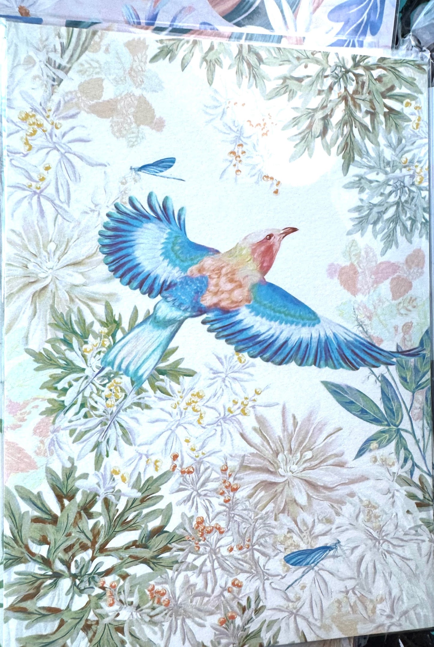 Postcard / 明信片