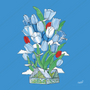 Tulip
