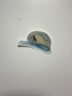 海豹